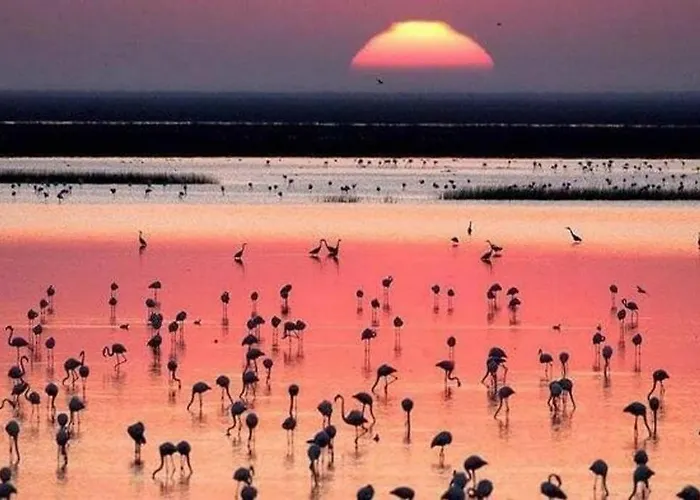 Apartamento Casa Bellevue